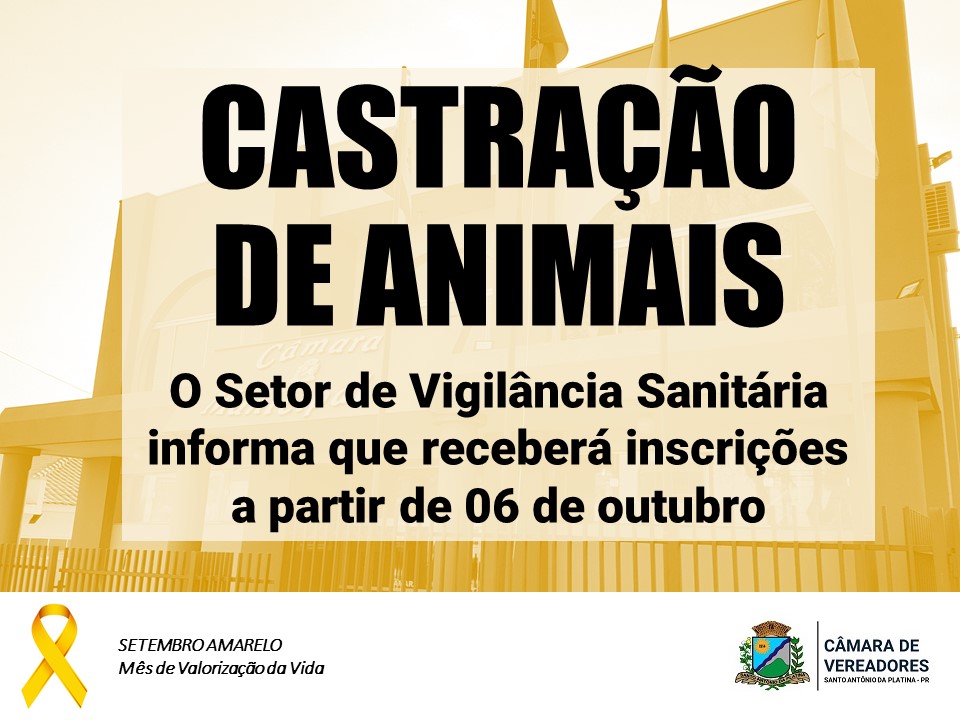 Fique Ligado! Castração gratuita de animais de estimação