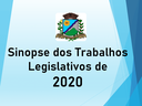 Sinopse dos trabalhos legislativo em 2020